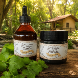 Kit Detox de metais pesados